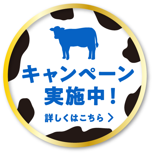 キャンペーン実施中！